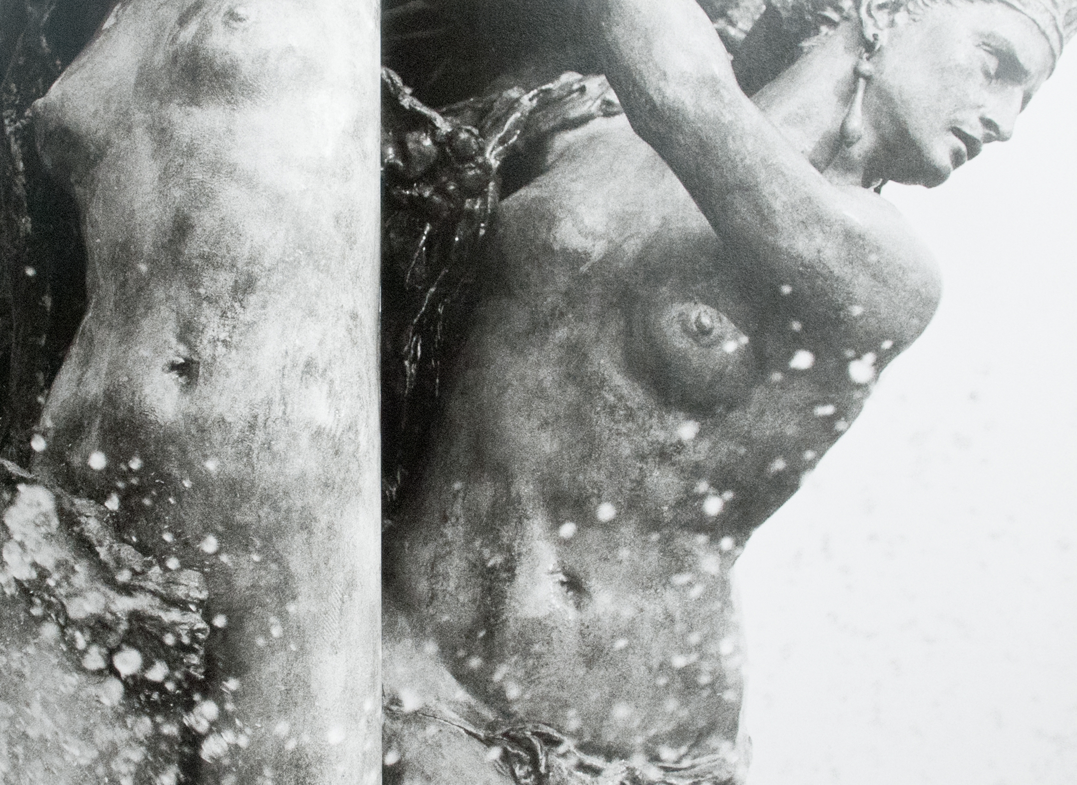 Projet 05, image 1